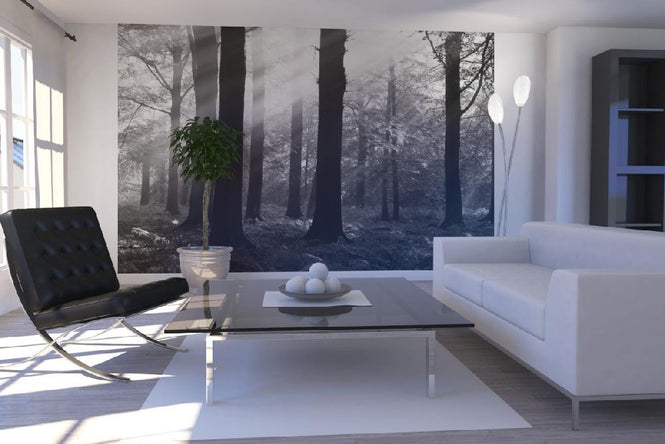 PHOTOWALL / Morning Sunshine - b/w (e6351)