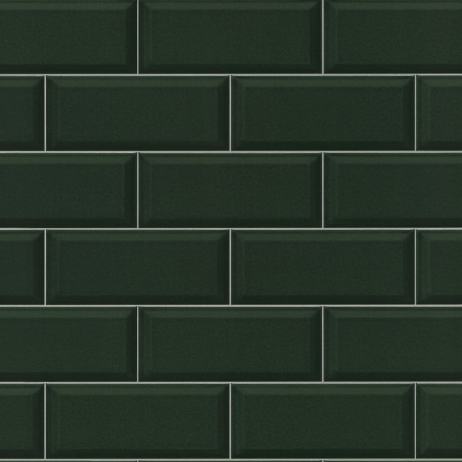 rasch ラッシュ / 429954 (Rhapsody)