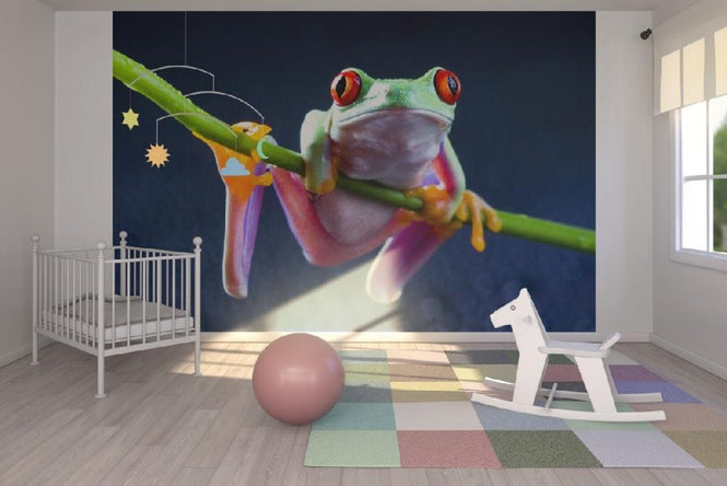 PHOTOWALL / Red frog (e9009)