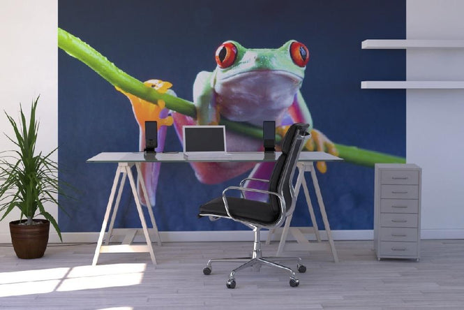 PHOTOWALL / Red frog (e9009)