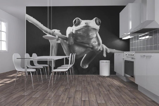 PHOTOWALL / Red frog - b/w (e9035)