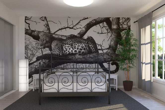 PHOTOWALL / Leopard in Tree - b/w (e10005)