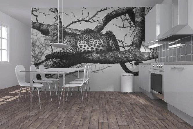 PHOTOWALL / Leopard in Tree - b/w (e10005)