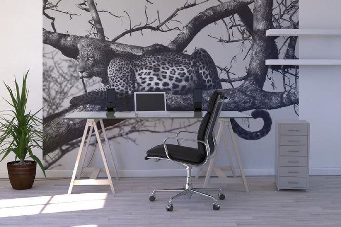 PHOTOWALL / Leopard in Tree - b/w (e10005)
