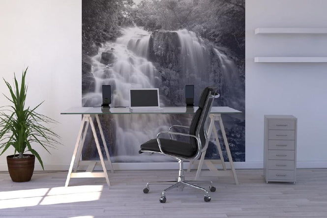 PHOTOWALL / Nature Scenery - b/w (e10023)