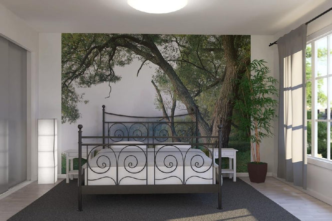 PHOTOWALL / Tree in a Fog (e10077)