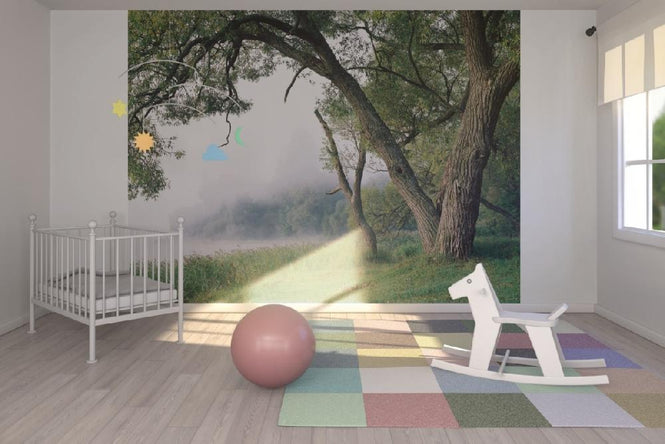 PHOTOWALL / Tree in a Fog (e10077)