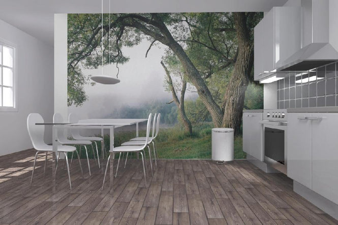 PHOTOWALL / Tree in a Fog (e10077)