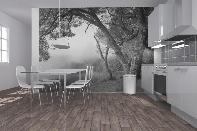 PHOTOWALL / Tree in a Fog - b/w (e10078)