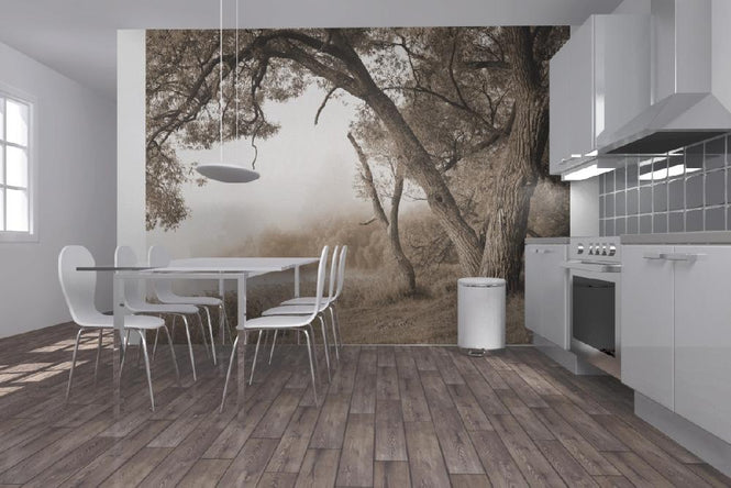 PHOTOWALL / Tree in a Fog (e10079)