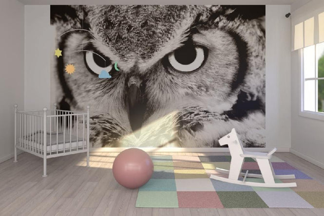 PHOTOWALL / Great Horned Owl (e1451)