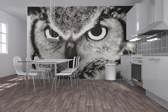 PHOTOWALL / Great Horned Owl (e1451)