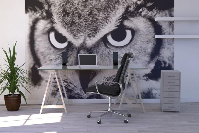 PHOTOWALL / Great Horned Owl (e1451)