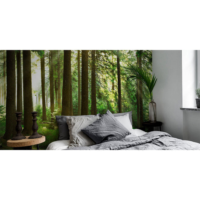 PHOTOWALL / Sunbeam through Trees (e1610)