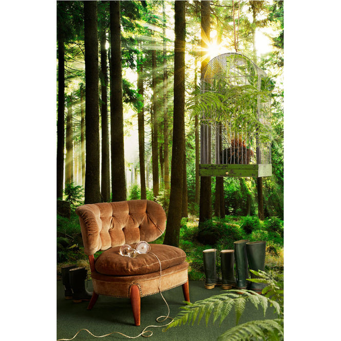 PHOTOWALL / Sunbeam through Trees (e1610)