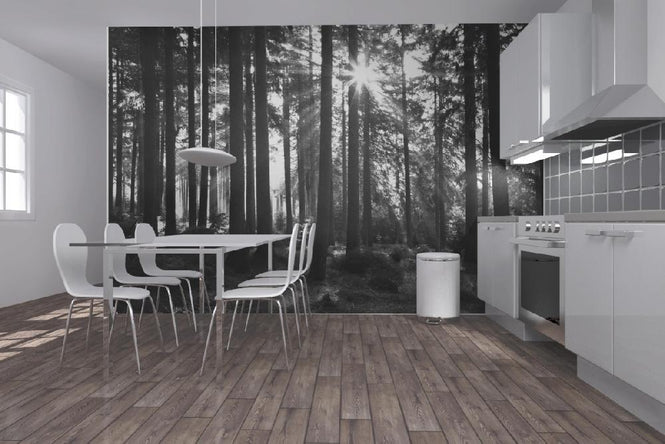 PHOTOWALL / Sunbeam through Trees - b/w (e1611)