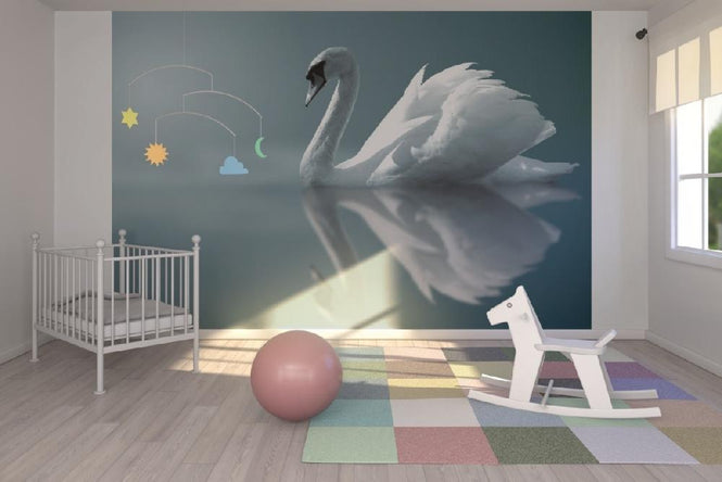PHOTOWALL / Swan Reflection (e1905)