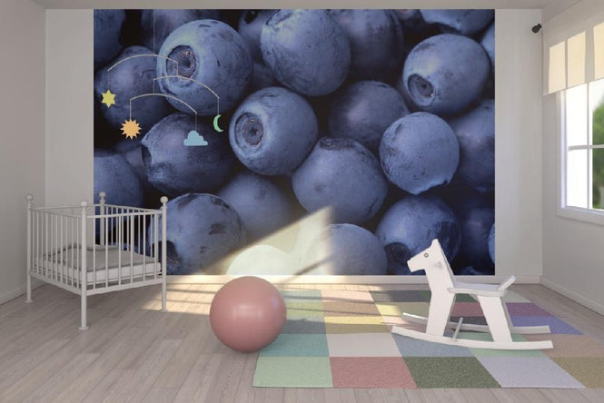 PHOTOWALL / Blueberries (e1934)