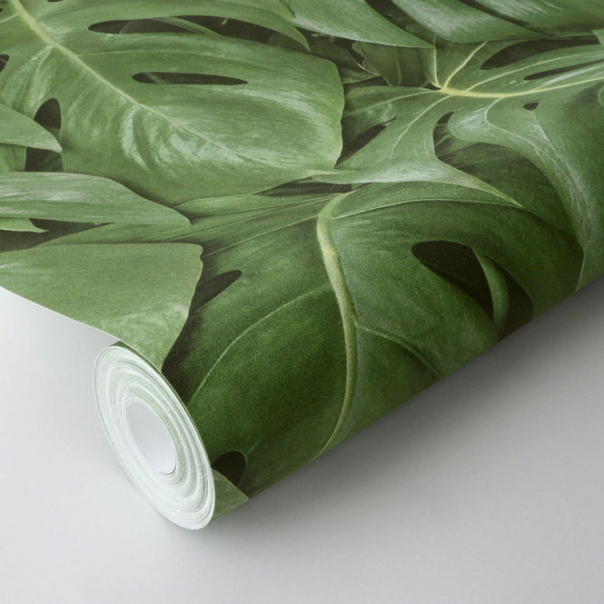 【輸入壁紙はじめてセット】rasch(ラッシュ) / 441802 (freundin)