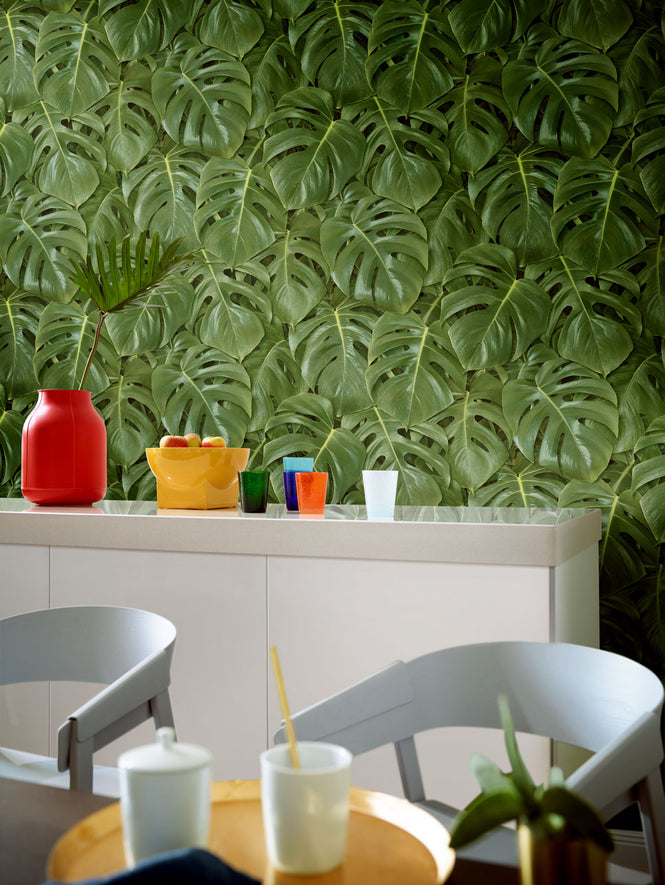 rasch(ラッシュ) / 441802 (freundin)