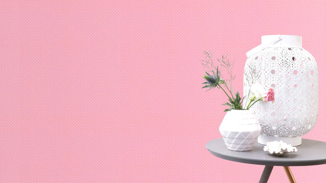 【限定数】rasch ラッシュ / 442304 (freundin)