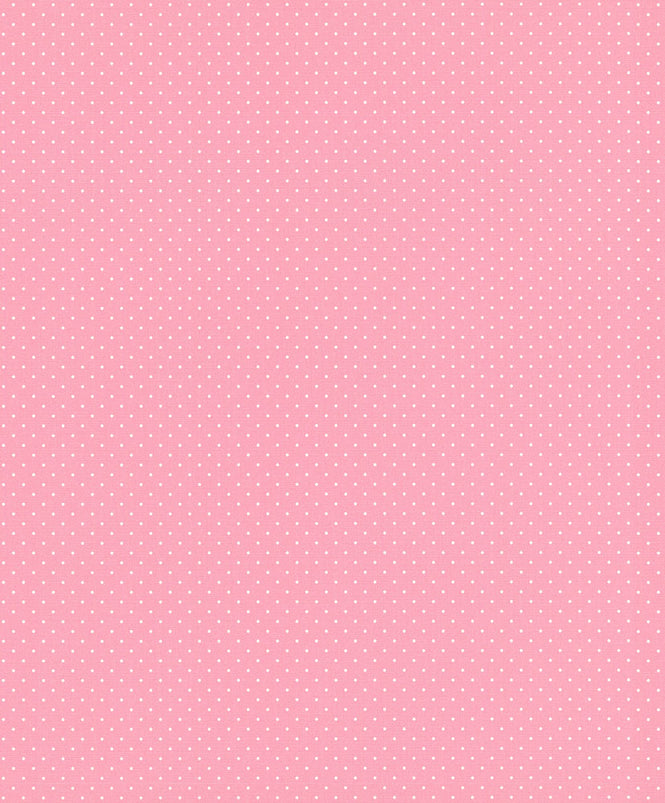 【限定数】rasch ラッシュ / 442304 (freundin)