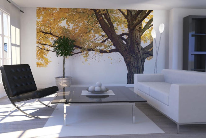 PHOTOWALL / Autumn Maple Tree (e10191)