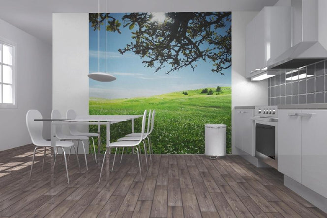 PHOTOWALL / Green Meadow (e19377)