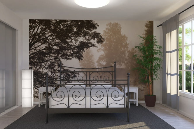 PHOTOWALL / Morning Mist (e19432)
