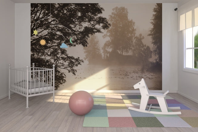 PHOTOWALL / Morning Mist (e19432)