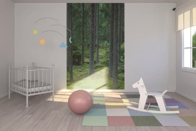 PHOTOWALL / Woodland Path (e19429)