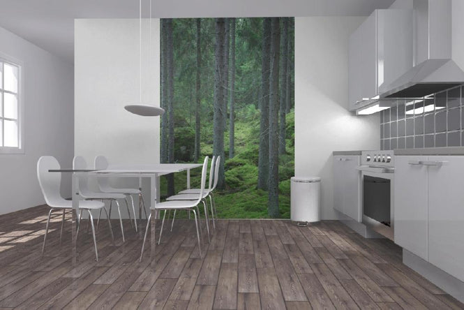 PHOTOWALL / Woodland Path (e19429)