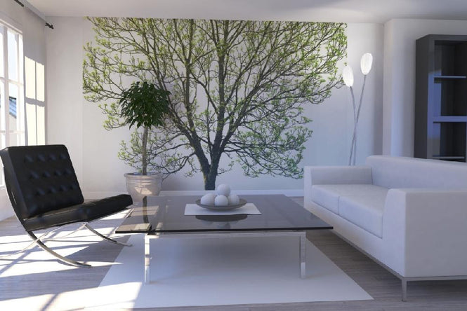 PHOTOWALL / Tree Branches 2 (e19420)