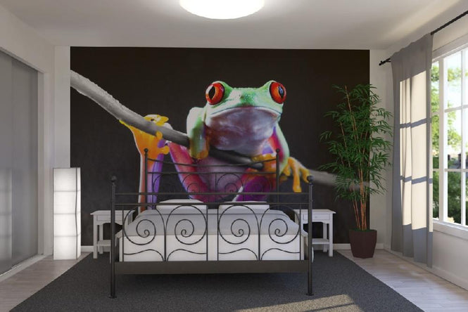 PHOTOWALL / Red Frog - Colorsplash (e19675)