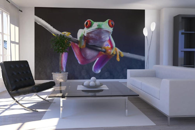 PHOTOWALL / Red Frog - Colorsplash (e19675)