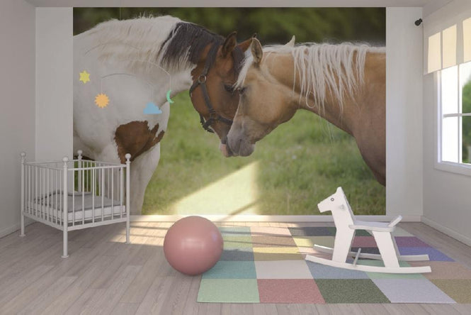 PHOTOWALL / Cuddling Horses (e19694)