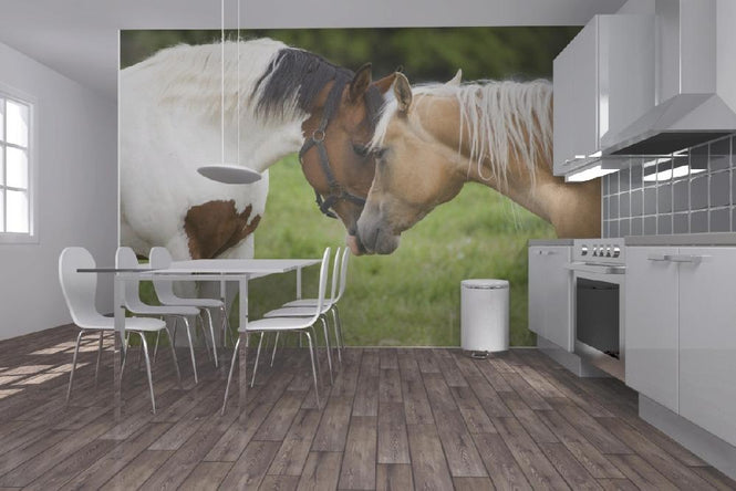 PHOTOWALL / Cuddling Horses (e19694)