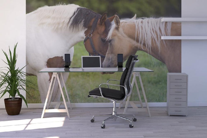 PHOTOWALL / Cuddling Horses (e19694)