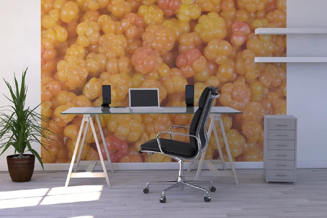 PHOTOWALL / Cloudberry (e19701)