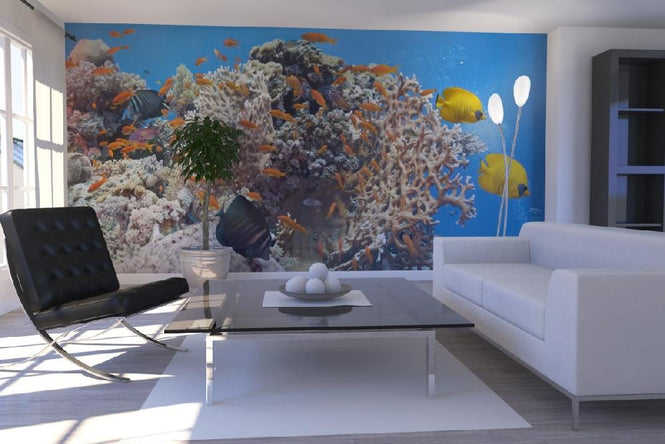 PHOTOWALL / Coral Reef Scene - Panorama (e19873)