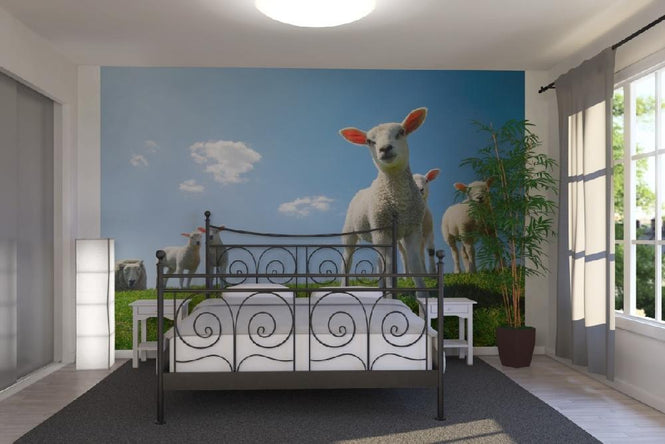 PHOTOWALL / Lamb (e20344)