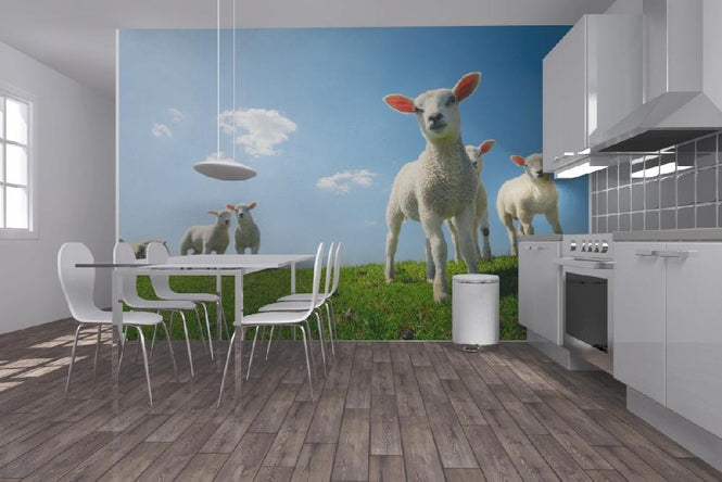 PHOTOWALL / Lamb (e20344)