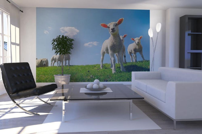PHOTOWALL / Lamb (e20344)