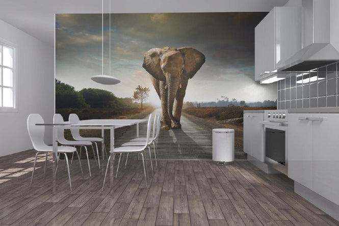 PHOTOWALL / Elephant Road (e20978)