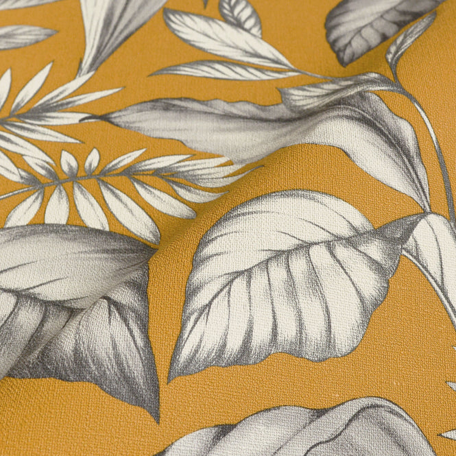 【限定数】rasch ラッシュ / 464764 (Salsa)