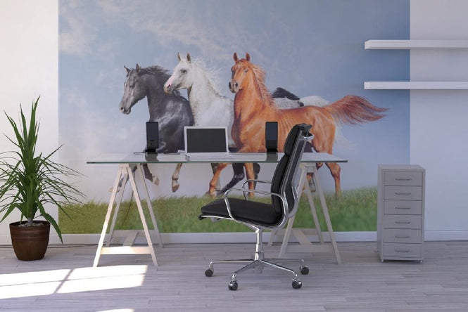 PHOTOWALL / Arab Horses Runs Free (e21344)