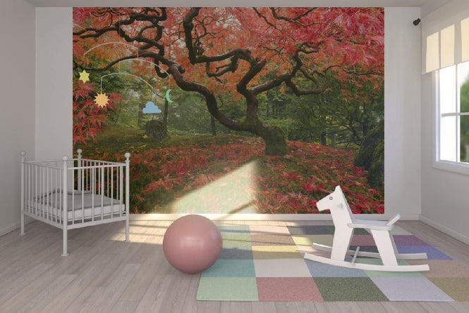 PHOTOWALL / Japanese Maple Tree (e21348)