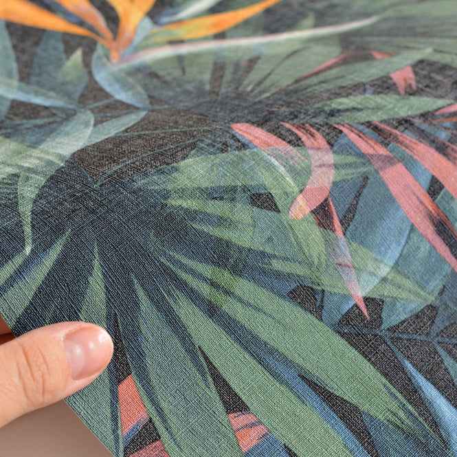 rasch ラッシュ / 465228 (Equateur)