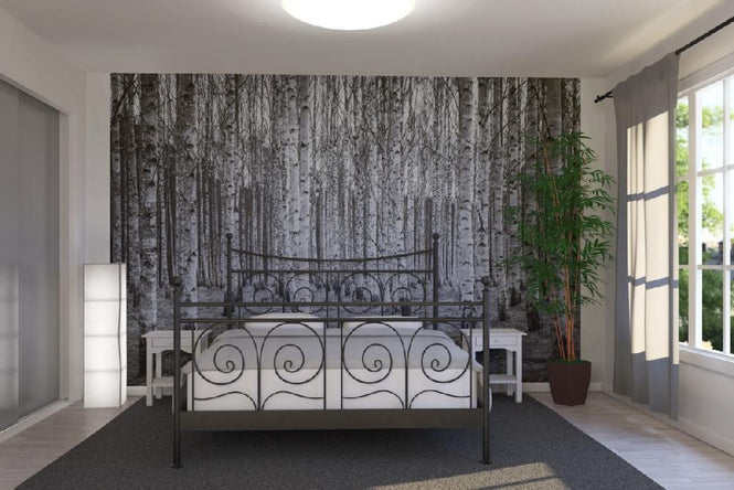 PHOTOWALL / Birch Forest Black & White (e22027)