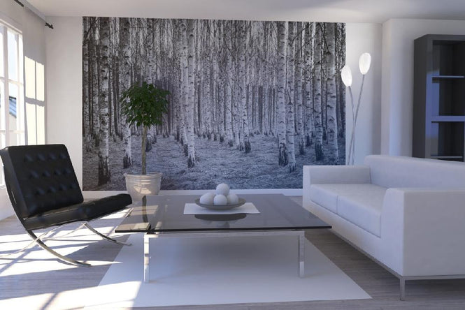 PHOTOWALL / Birch Forest Black & White (e22027)